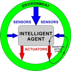 The intelligent agent and its interaction with the environment.