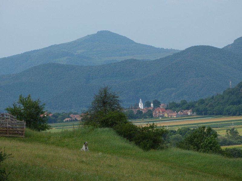 Obrazek