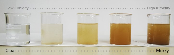 Zestaw próbek wody wykazujących rosnące zmętnienie oraz zmiany koloru