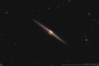 NGC 4565_final.png