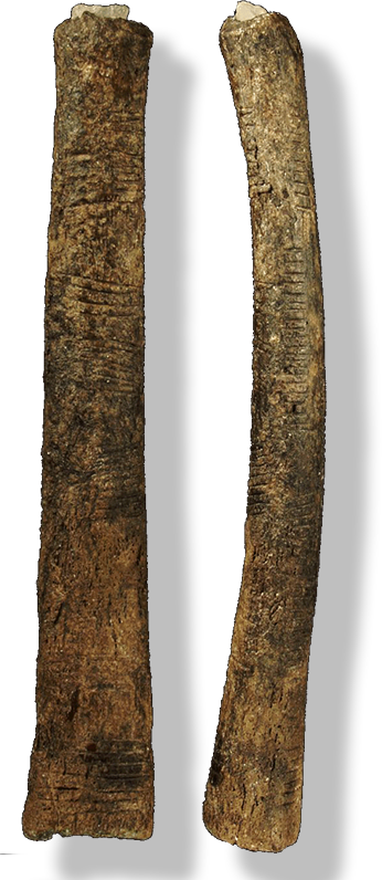 Kość z Ishango