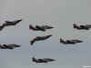 Flip - Flap w szyku. (117896 bytes)