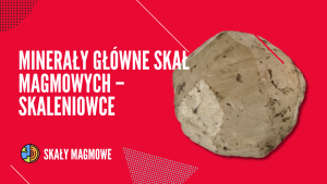 Skaleniowce
