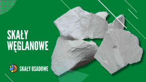 SKAŁY WĘGLANOWE