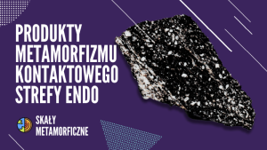 SKAŁY ENDOKONTAKTOWE