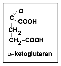 ketogl.gif - 2kb