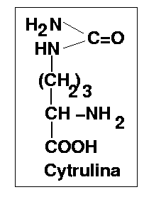 cytrul_123.gif - 3kb