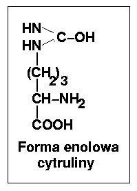 enol_nowy.gif - 3kb