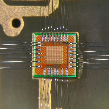 REMIC integrated circuit micrograph