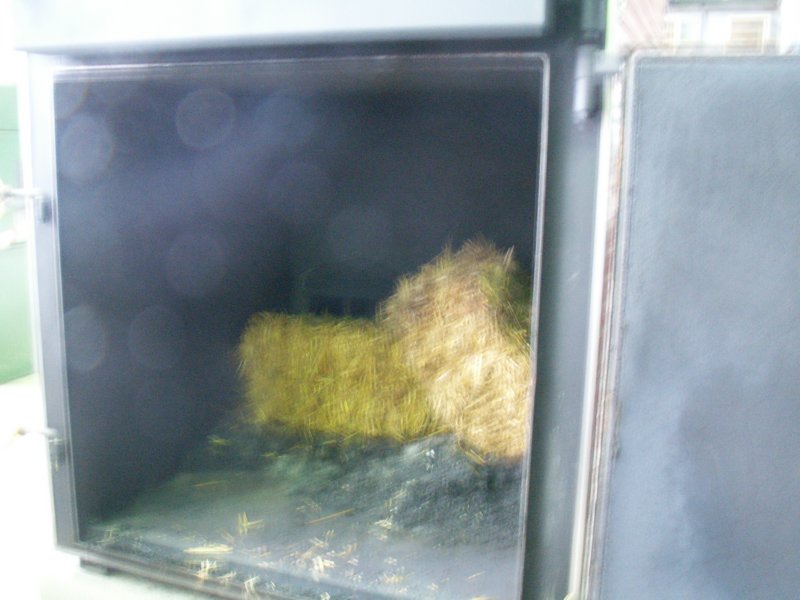 pict4175.jpg