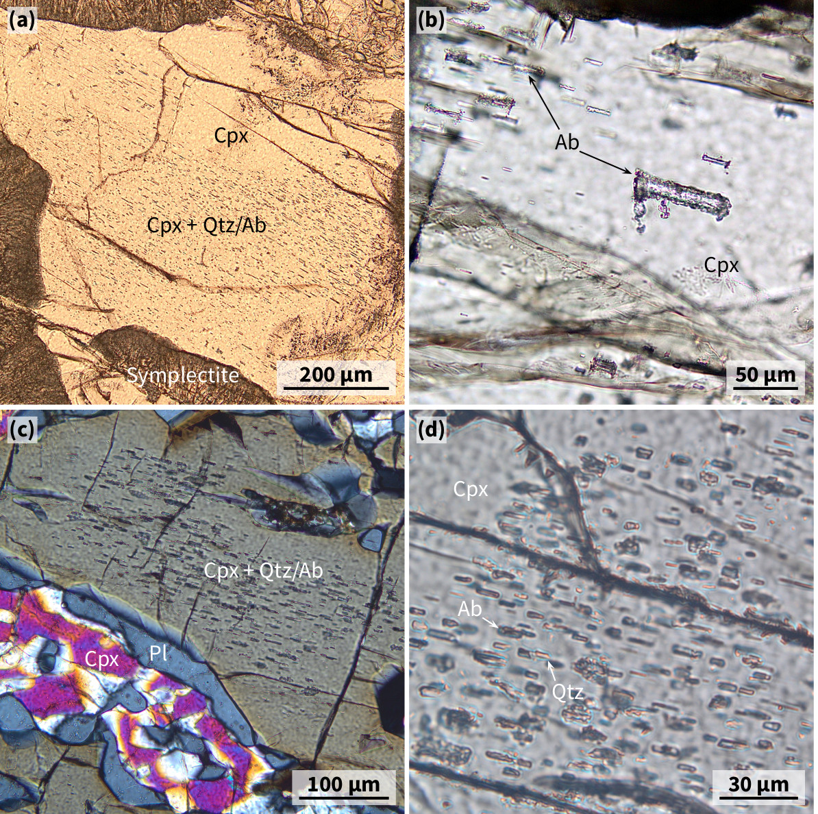 Photomicrographs that show inclusions in foliated Opx-free eclogite.