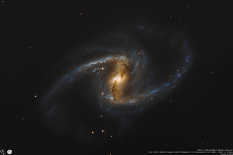 NGC 1365.png