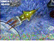 Umka_1 02.01.2026 19.34 02.jpg