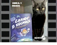 Umka_1 14.02.2026 20.06.jpg