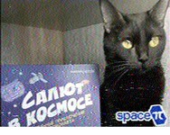 VM 14.02.2026 19.50.jpg