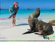 28.12.2025 22.11 Galapagos.jpg