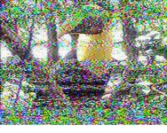 Galapagos 21.02.2026 10.15 02.jpg