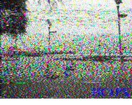 Galapagos 21.02.2026 21.01 02.jpg