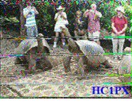 Galapagos 21.02.2026 22.54.jpg