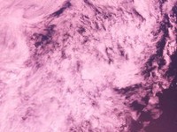 UTMN_2 18.12.2025 19.43.jpg