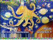 Arcticsat-1 04.11.2025 21.37.jpg