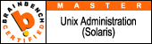 Master Unix Administration (Solaris), Brainbench certificate #190204