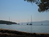 Vrboska