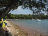 Vrboska